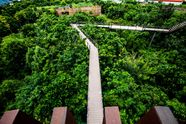 Metro Forest — Khet Prawet