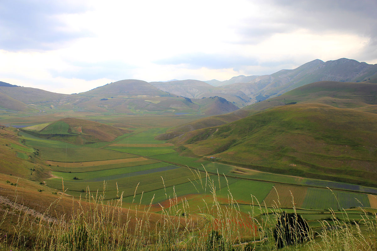 காஸ்டெல்லூசியோவின் பூக்கள் - Castelluccio | Secret World Trip Planner