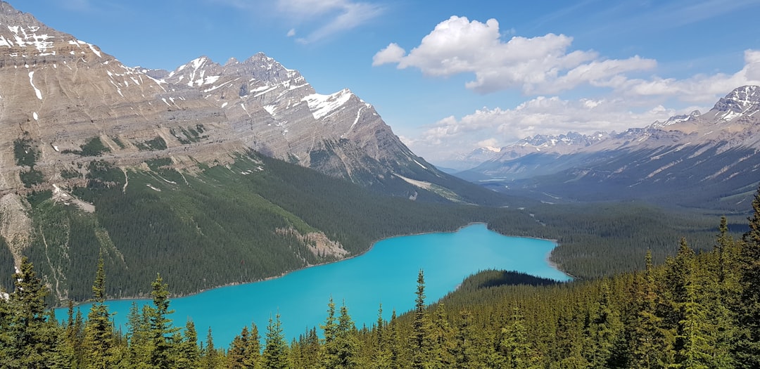 The deep turquoise blue waters of Peyto Lake - Improvement District No. 9 | Secret World Trip Planner