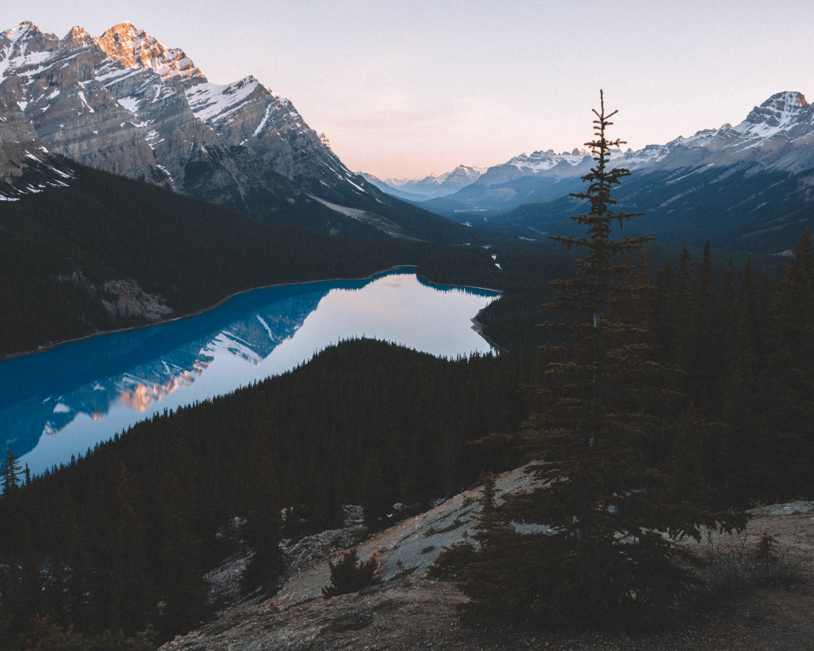 The deep turquoise blue waters of Peyto Lake - Improvement District No. 9 | Secret World Trip Planner