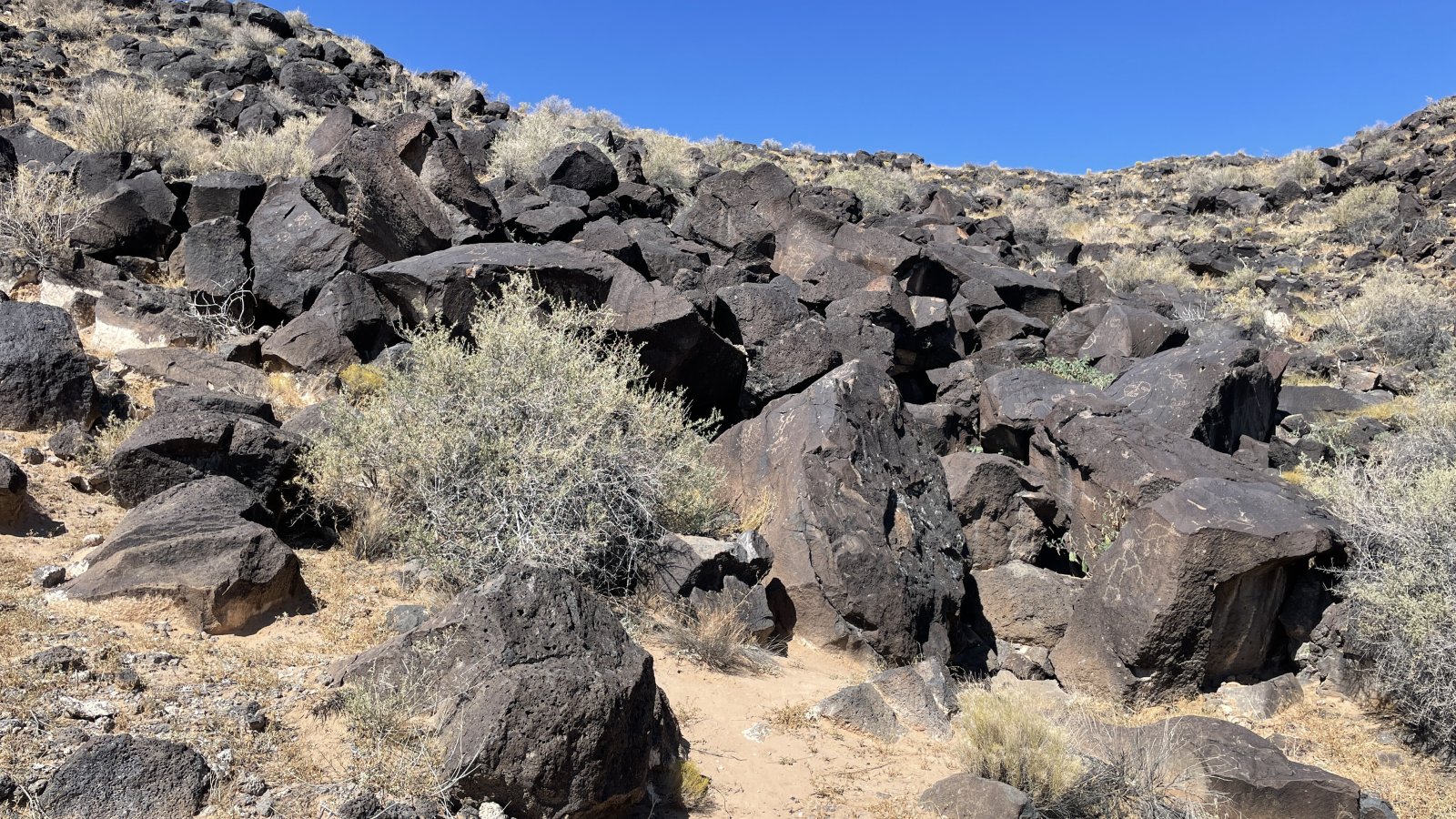 Petroglyphen-Nationaldenkmal - Albuquerque | Secret World Trip Planner