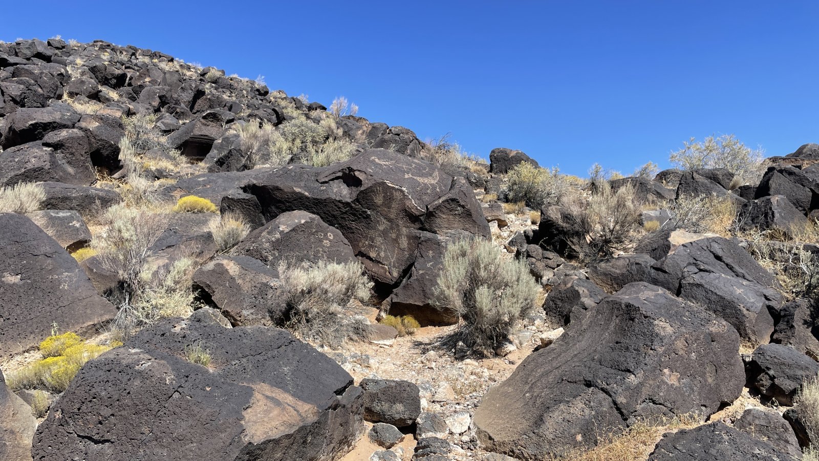 Petroglyphen-Nationaldenkmal - Albuquerque | Secret World Trip Planner