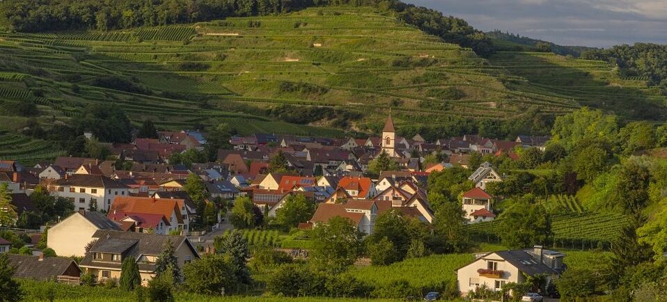 Achkarren, one of the sunniest places in Germany - Vogtsburg | Secret World Trip Planner