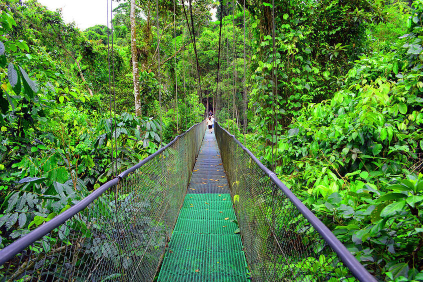 Tirimbina Rainforest Center — La Virgen