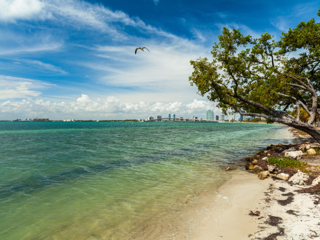 Virginia Key Strandpark - Florida | Secret World Trip Planner