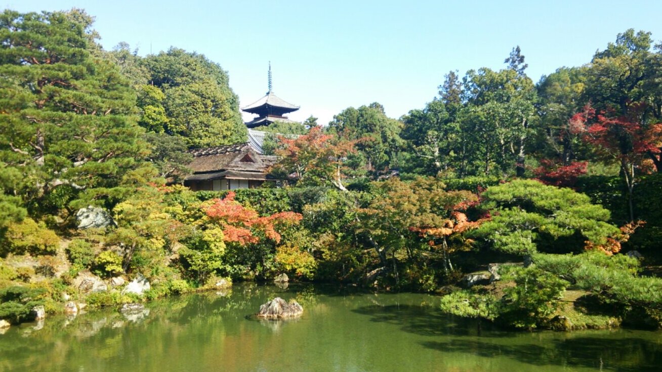 Ninnaji is one of the Unesco great temples in Kyoto — Ky?to-shi