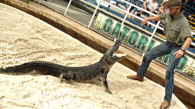 SEILBAHN IM GATORLAND - Orlando | Secret World Trip Planner