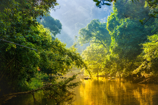 Corcovado National Park — Los Patos Sirena Trail