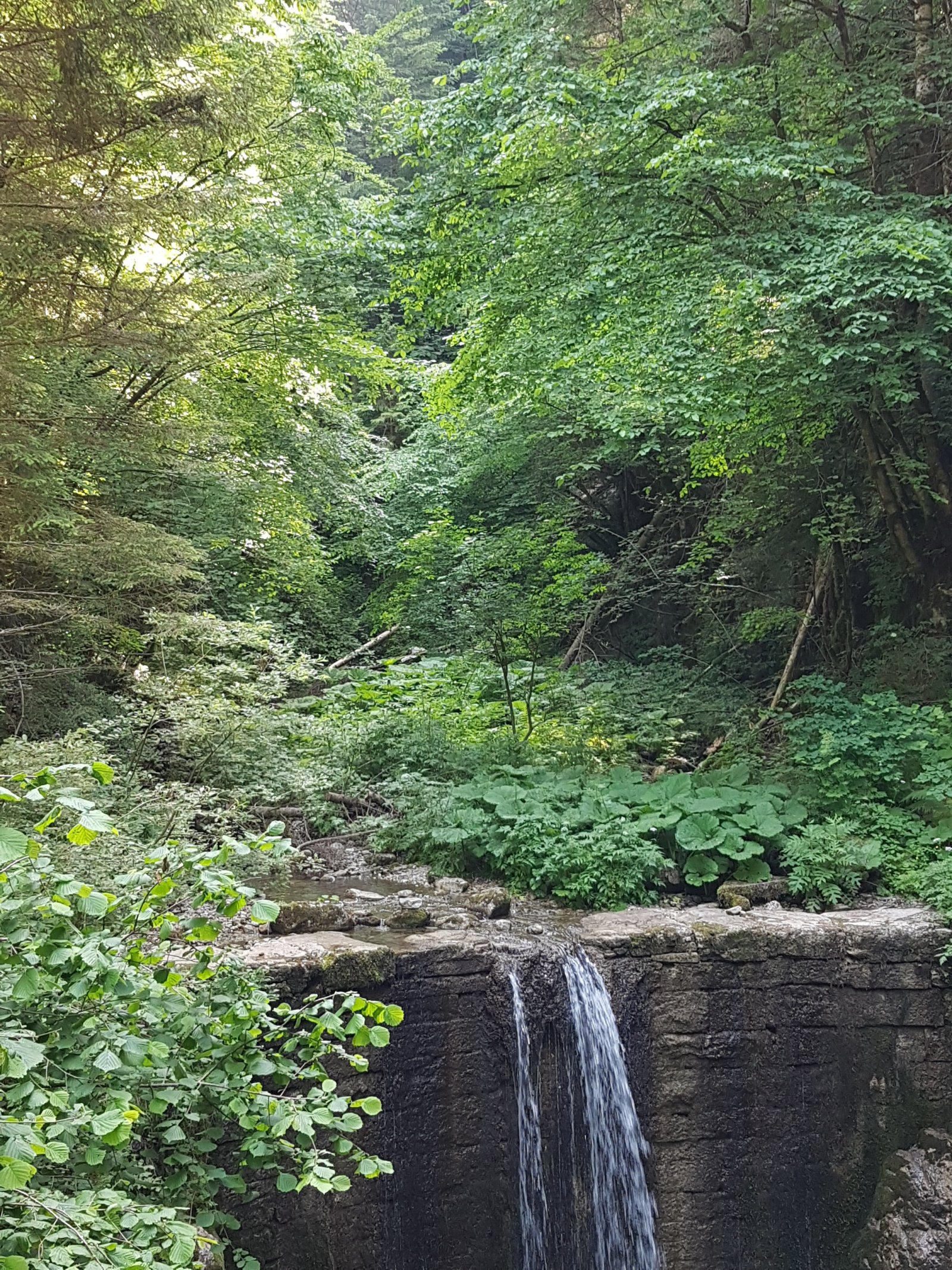 trentino: La cascata del Gorg d'abiss - Tiarno di Sotto | Secret World Trip Planner