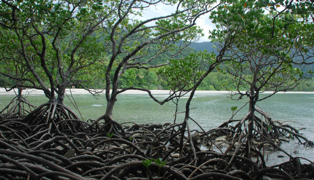 Nara Mangrove Garten - Negombo | Secret World Trip Planner