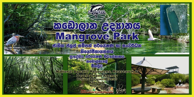 Nara Mangrove Garten - Negombo | Secret World Trip Planner