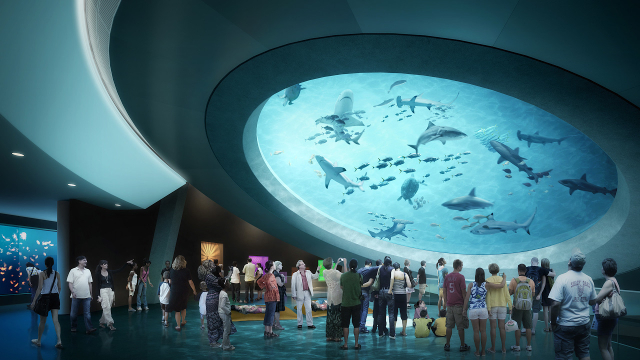 Phillip und Patricia Frost Museum für Wissenschaft — Miami