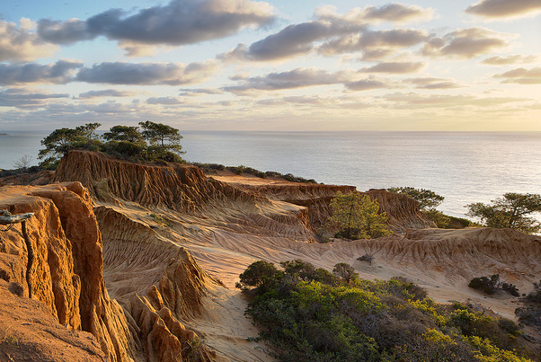 Torrey Pines State Natural Reserve — La Jolla