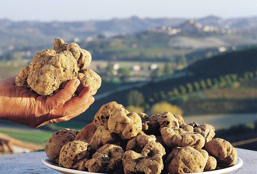 Trufa albă de Ceppaloni - Ceppaloni | Secret World Trip Planner