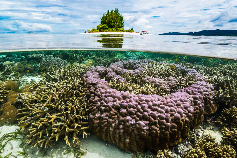 Il triangolo dei coralli | Secret World Trip Planner