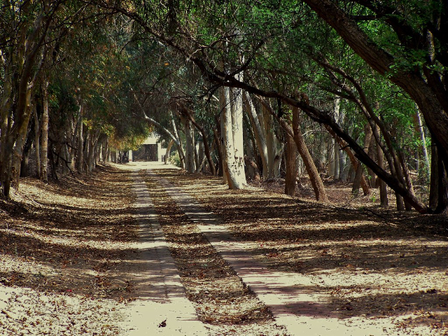 Lal Suhanra National Park - Bahawalpur | Secret World Trip Planner