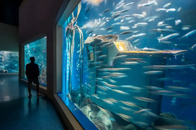 Acquario Finisteria — A Coruña