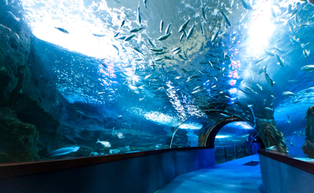 San Sebastian Aquarium - Donostia | Secret World Trip Planner