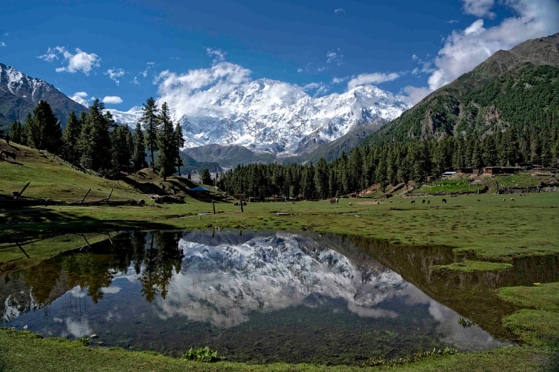 Parco nazionale Fairy Meadows, Pakistan - Fairy Meadows | Secret World Trip Planner