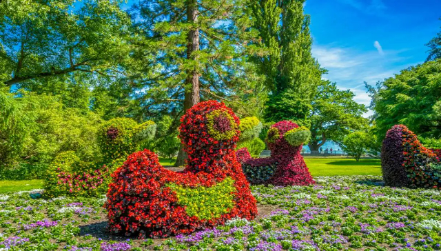 Mainau, die Insel der Blumen - Costanza | Secret World Trip Planner