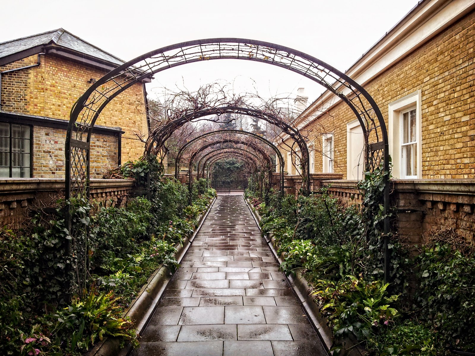 Der verborgene Garten der St. John's Lodge:Londoner Geheimnis - Inner Cir | Secret World Trip Planner