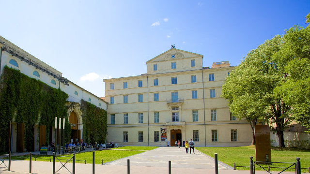 Fabre Museum — Montpellier