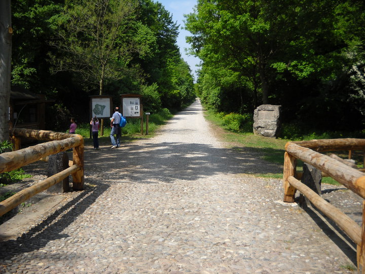 Mantua | Forest of the Fountain - Marmirolo | Secret World Trip Planner