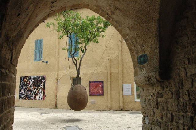 Suspended Orange Tree — Tel Aviv-Yafo