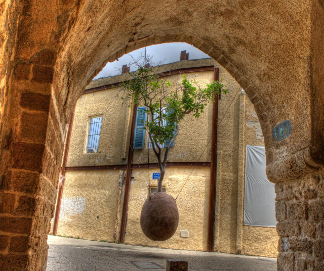 Suspended Orange Tree - Tel Aviv-Yafo | Secret World Trip Planner