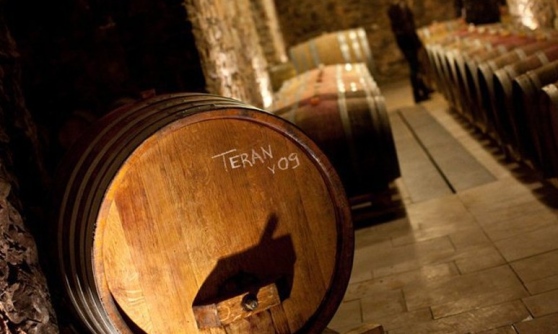 Terrano — Umago