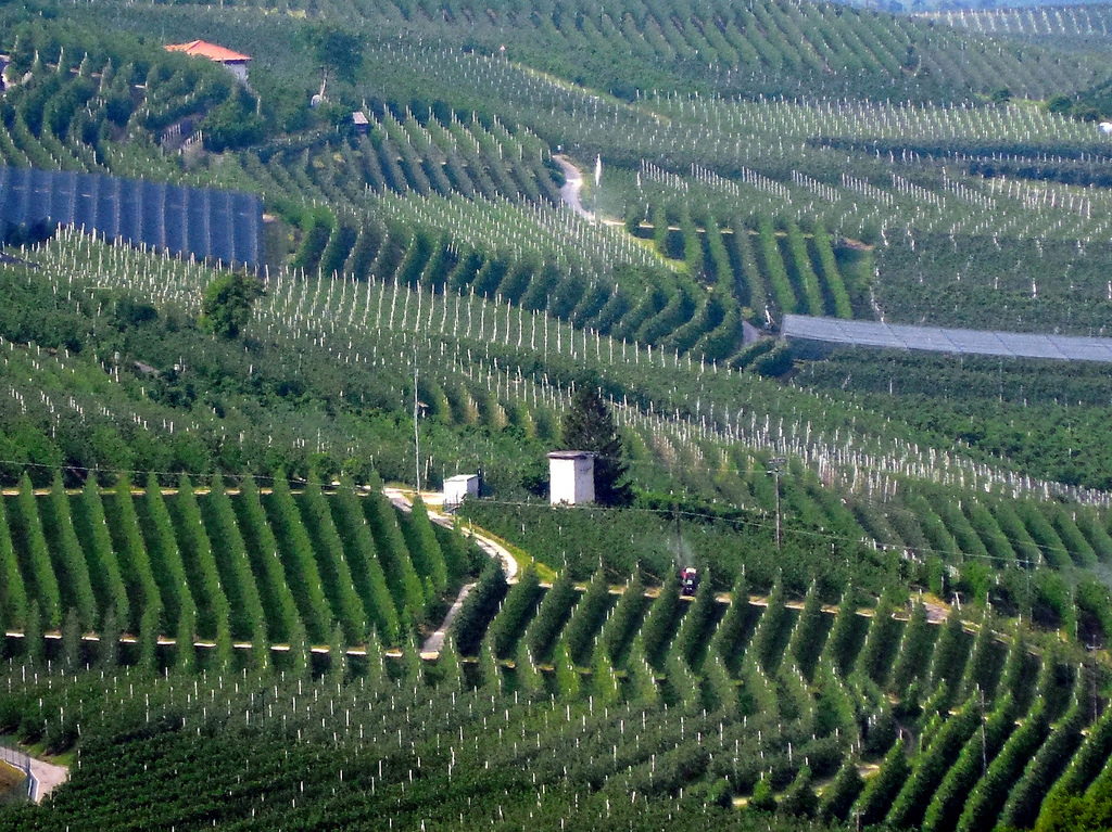 Die Apfelplantagen im Nonstal - Val di Non | Secret World Trip Planner
