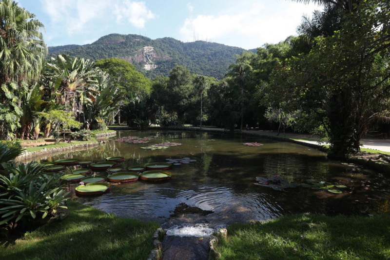 Jardim Botanico, Rio de Janeiro - Jardim Botânico | Secret World Trip Planner