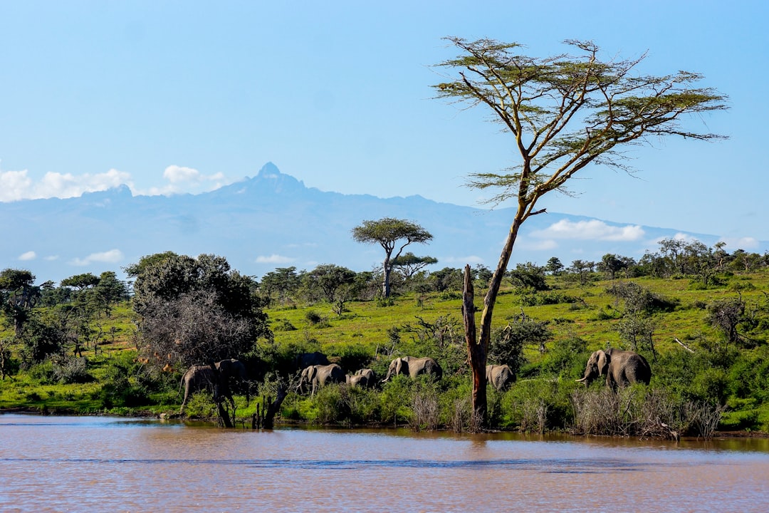 Mount Kenya often referred to as the ‘Place of Light’ - Monte Kenya | Secret World Trip Planner