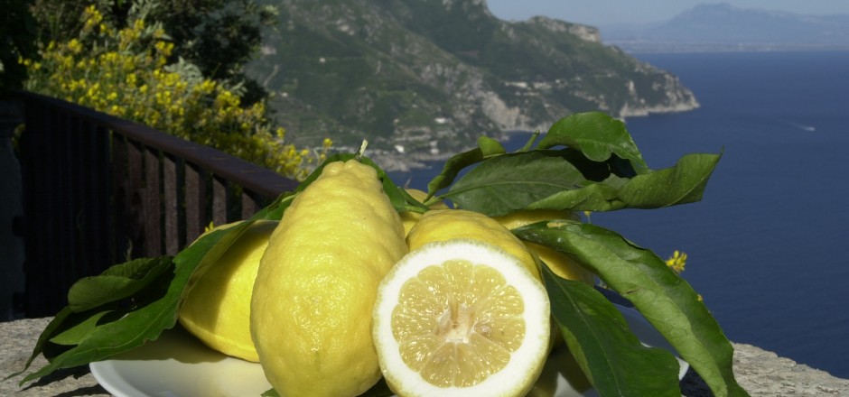 Amalfi-Zitrone - Amalfi | Secret World Trip Planner