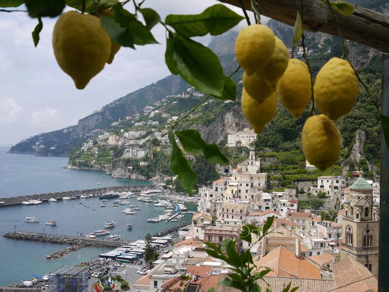 Amalfi-Zitrone - Amalfi | Secret World Trip Planner