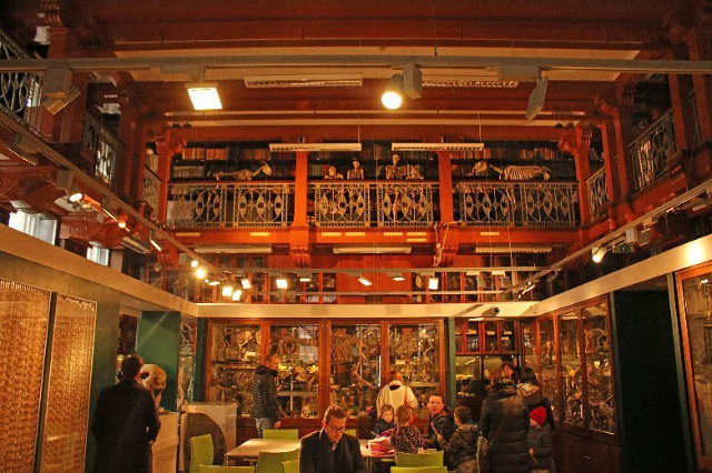 Grant-Museum für Zoologie - 21 University St | Secret World Trip Planner