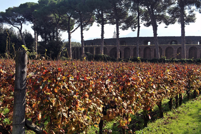 Cantine Mastroberardino - Atripalda | Secret World Trip Planner