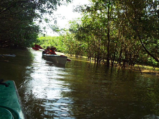 Mangroven-Reservat Isla Corazon - Bahia de Caraquez | Secret World Trip Planner