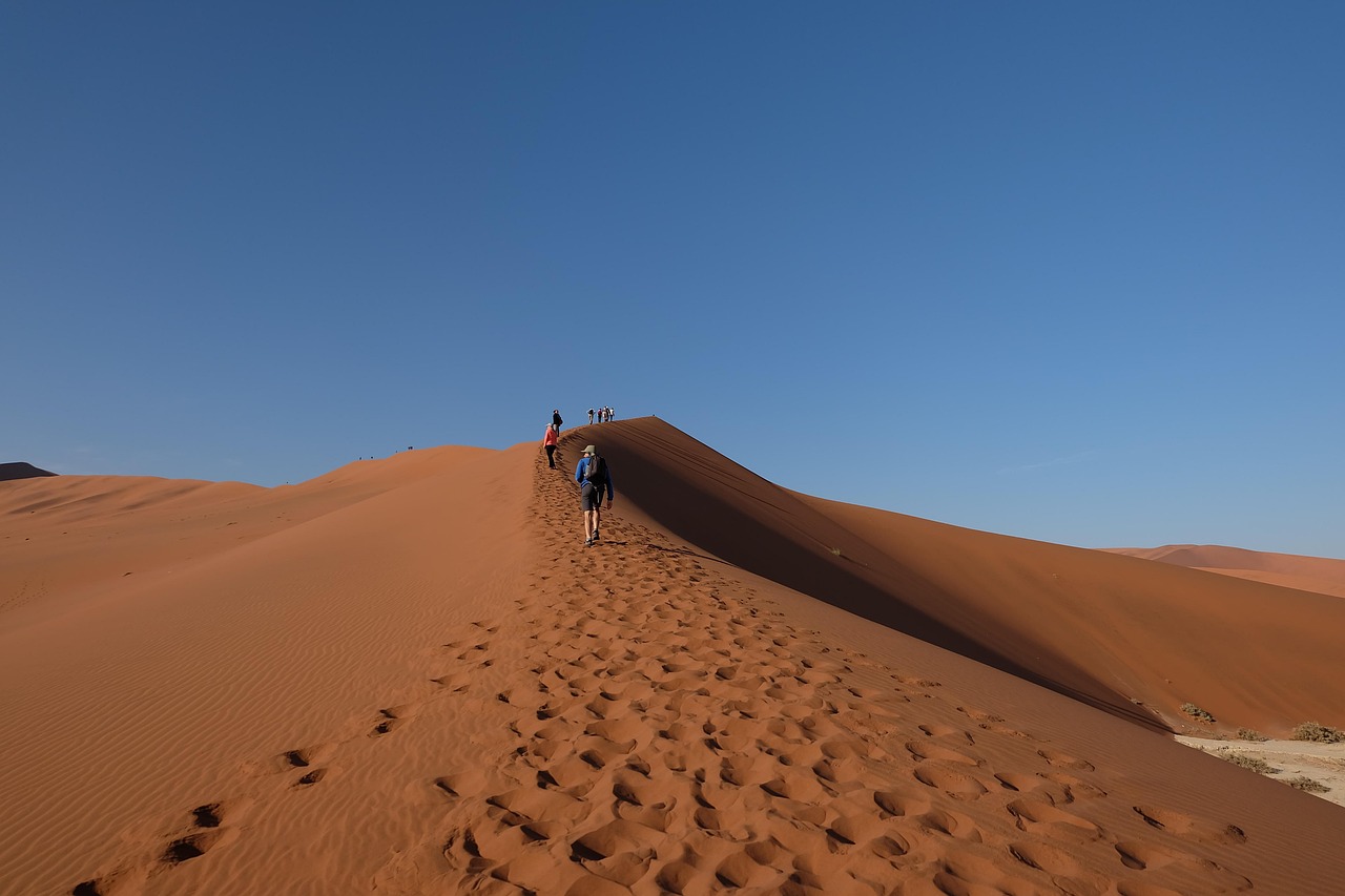 Namib Desert: the fairy circles - Sossusvlei | Secret World Trip Planner