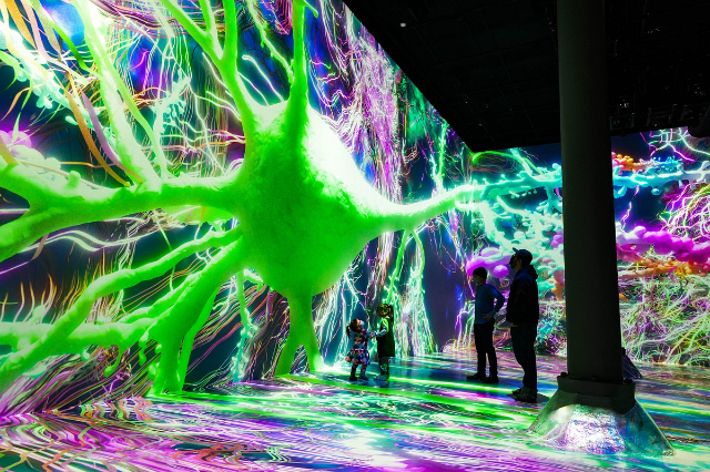 ARTECHOUSE: dove l'arte incontra l'immaginazione - New York | Secret World Trip Planner