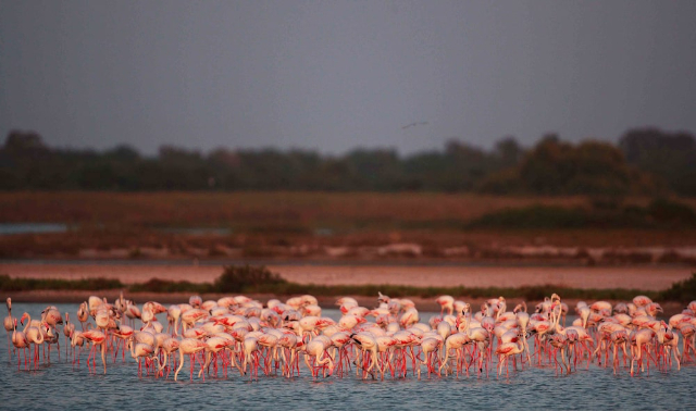 Chundikulam-Nationalpark - Pachchilapalli | Secret World Trip Planner