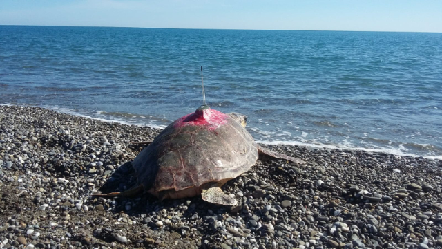 Eksplorimi i Oazës WWF të Policoro - 1 | Secret World Trip Planner