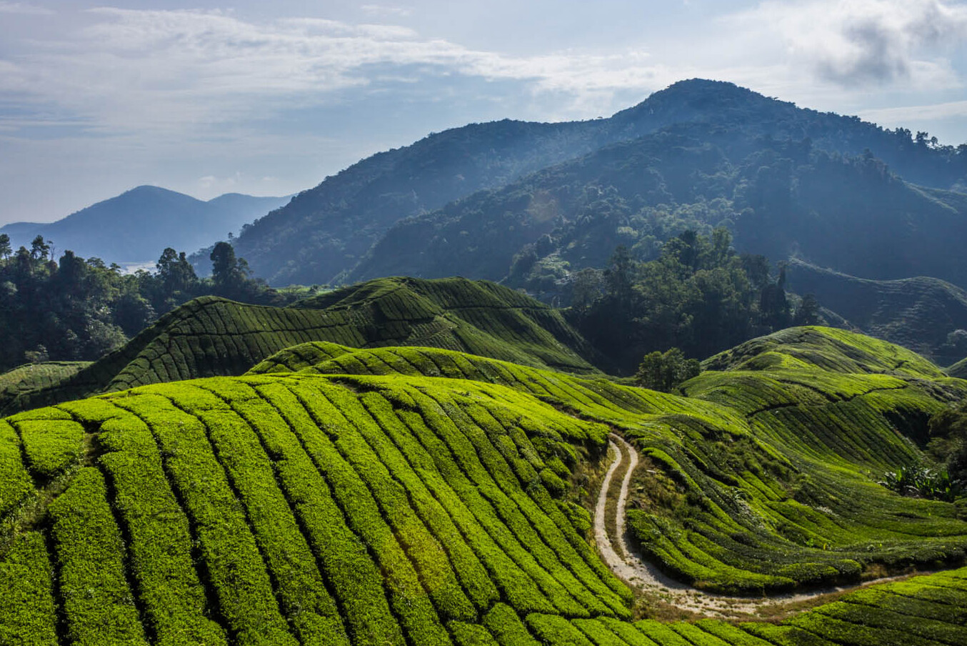 Cameron Highlands: Malaysias größtes Hochland-Resort — Tanah Rata