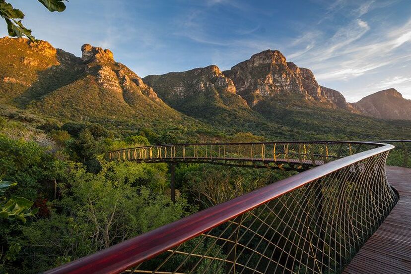 Kirstenbosch, South Africa’s world-famous botanical garden — Cape Town