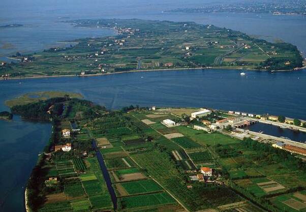 Sant'Erasmo, die geheime Insel neben Venedig! - Venezia | Secret World Trip Planner