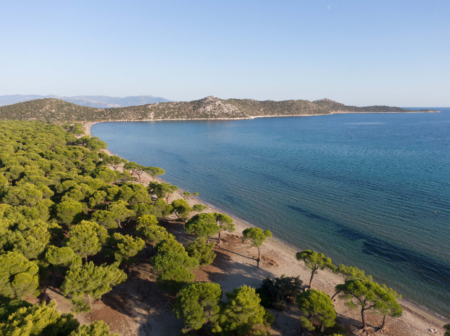 The beach of Schinias — Marathon