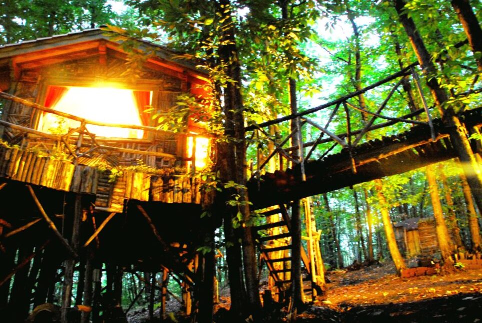 The village in the trees of Piedmont - 10081 Castellamonte TO | Secret World Trip Planner