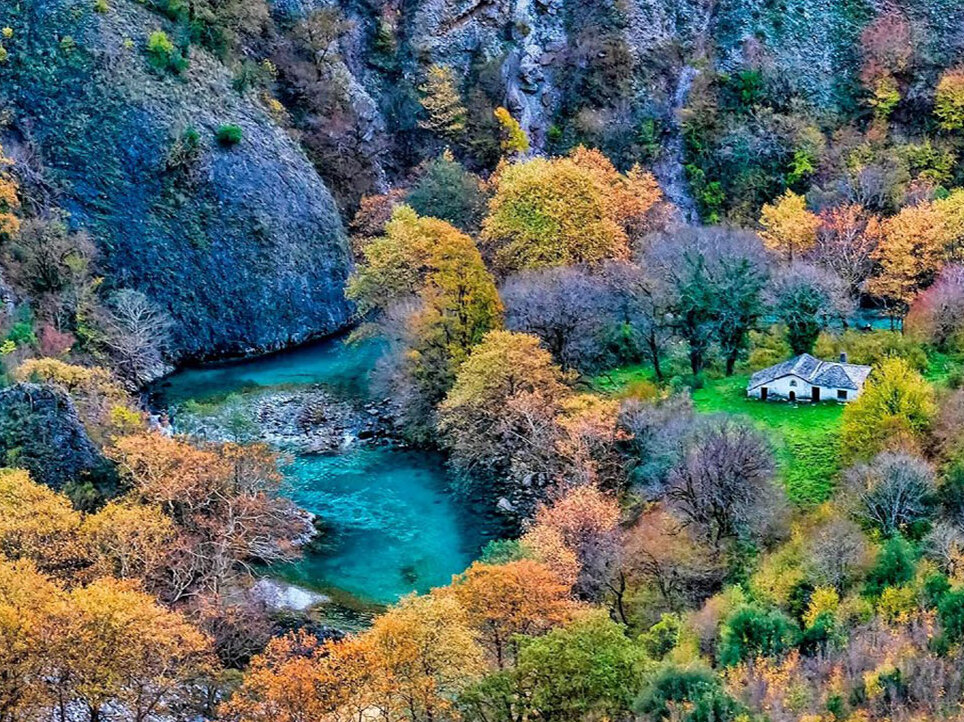 Voidomatis-Federn — Βίκος
