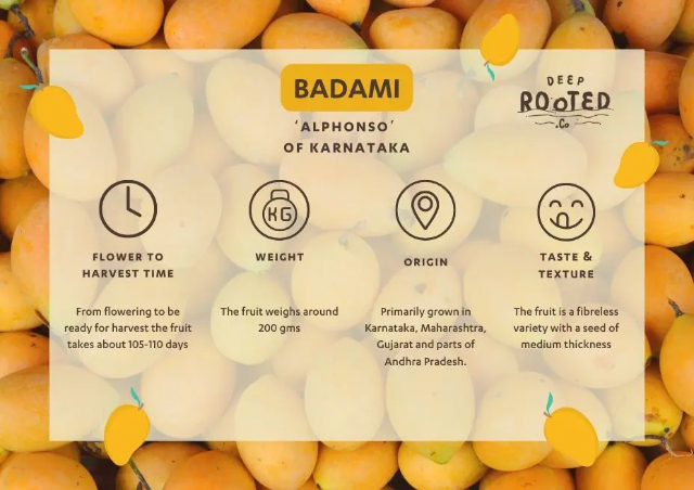 Badami der Alphonso von Karnataka - Badami | Secret World Trip Planner