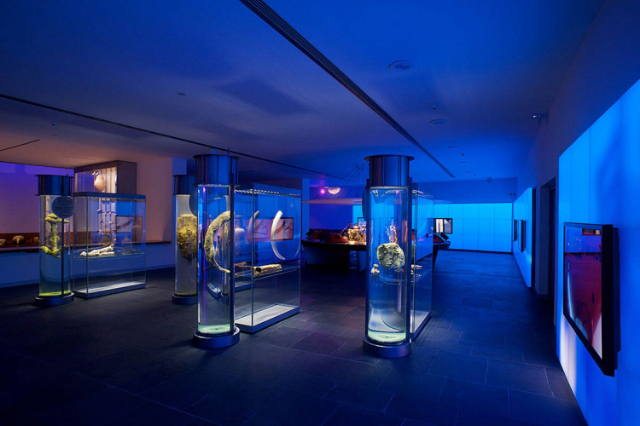 Museo Nazionale di Archeologia Subacquea - Cartagena | Secret World Trip Planner